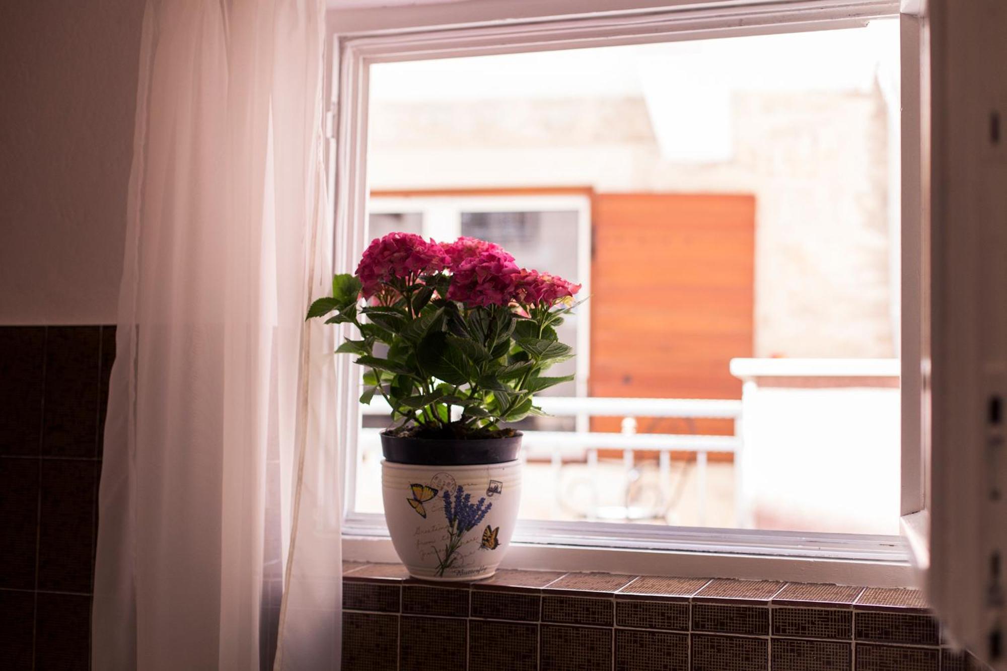 Apartments Roma บาชกาโวดา ภายนอก รูปภาพ