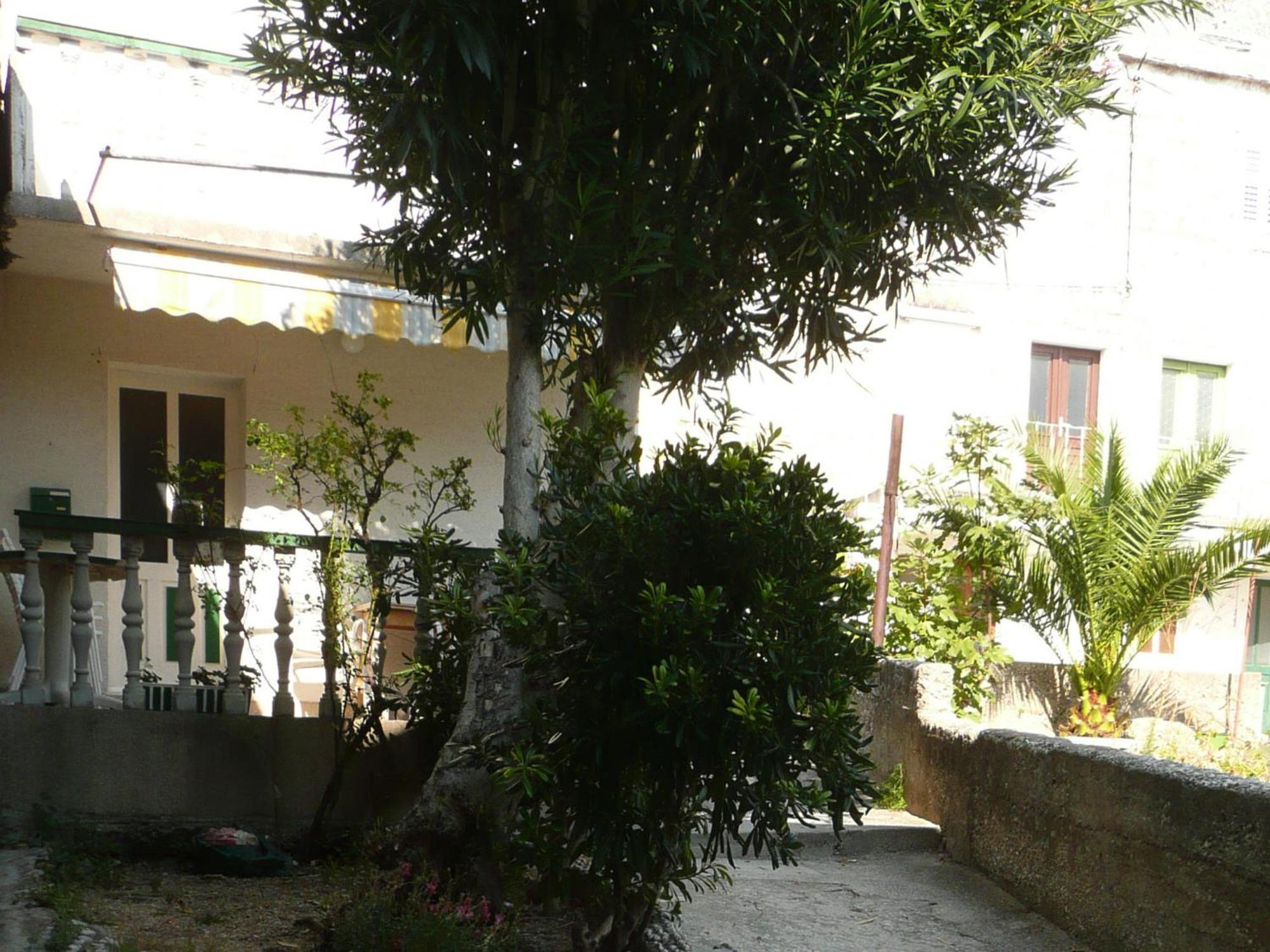 Apartments Roma บาชกาโวดา ห้อง รูปภาพ